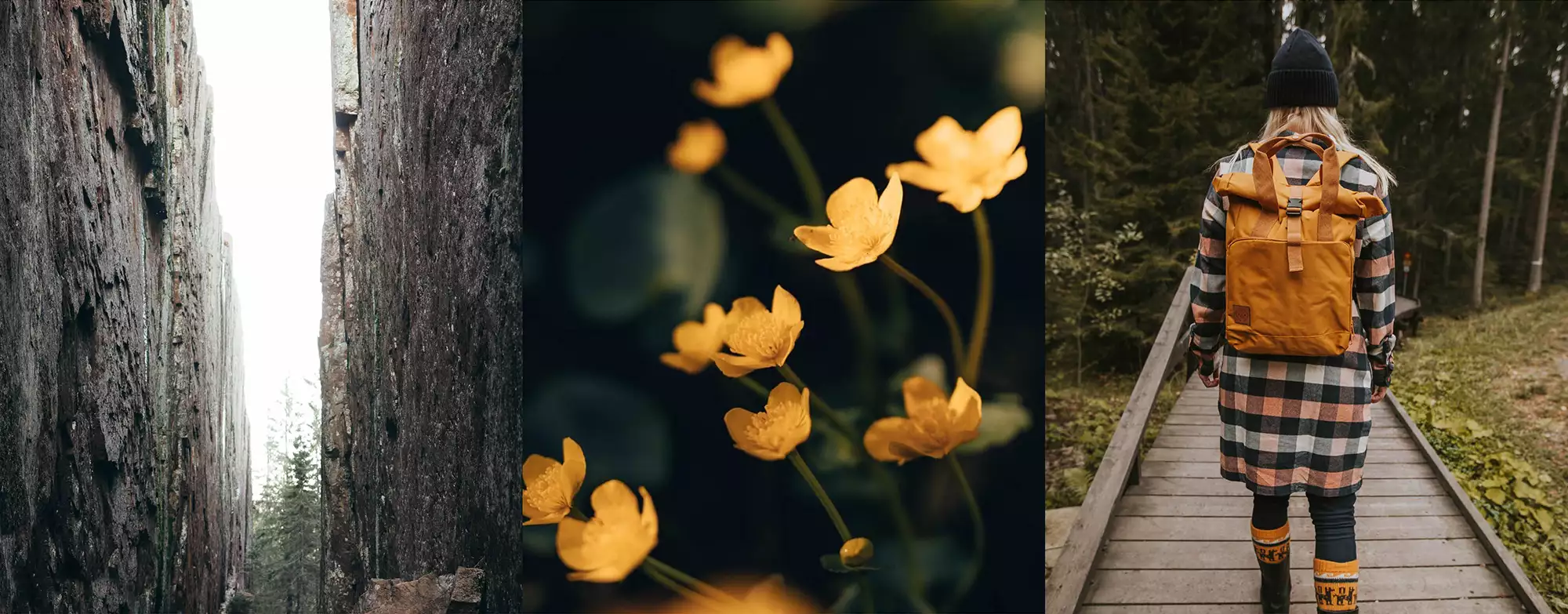 Skuleskogens nationalpark med Slåttdalsskrevan. Försommar i Höga Kusten. Outdoor Collektiv. Äventyra i Höga Kusten.